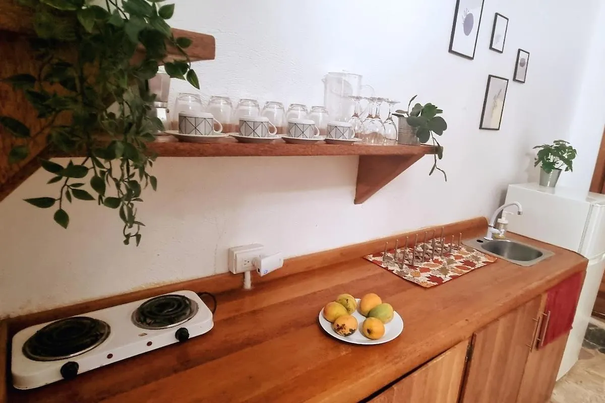 Διαμέρισμα Coco Estudio Garden Near La Playita Beach Las Galeras