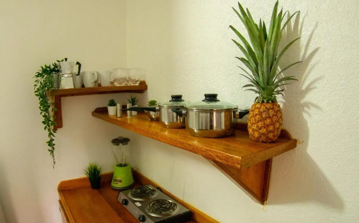 Διαμέρισμα Coco Estudio Garden Near La Playita Beach Las Galeras