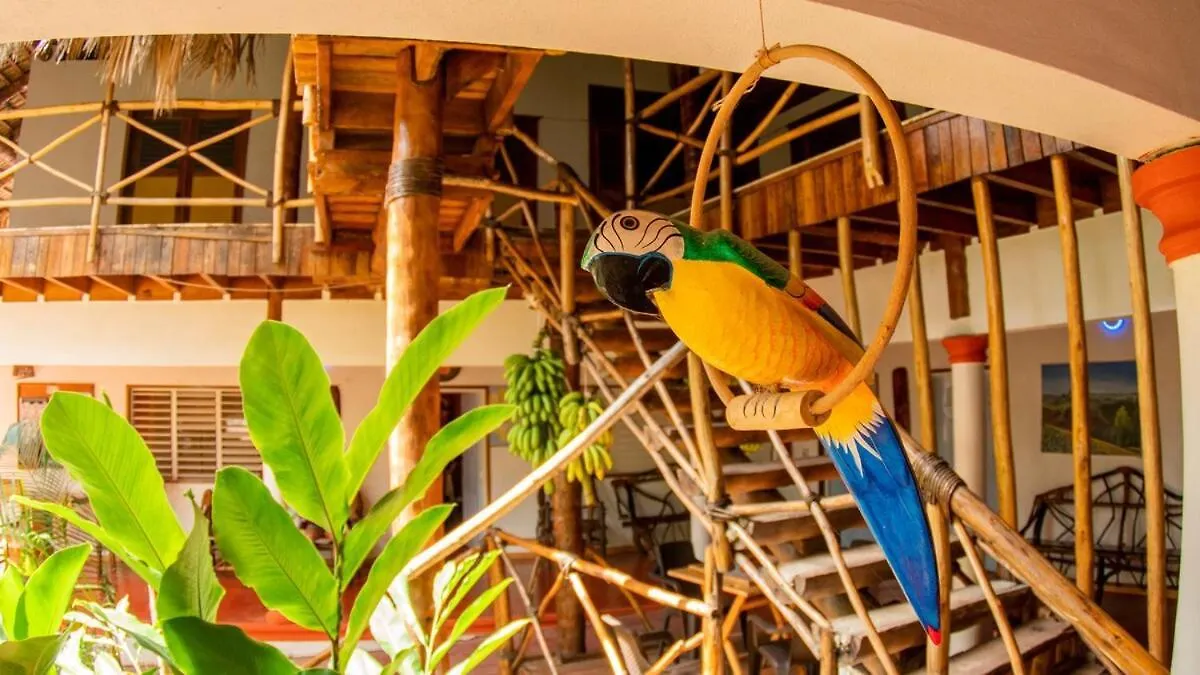 Coco Estudio Garden Near La Playita Beach Las Galeras